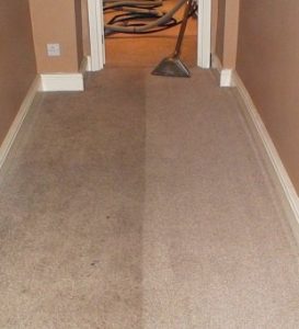 shark ion promo code