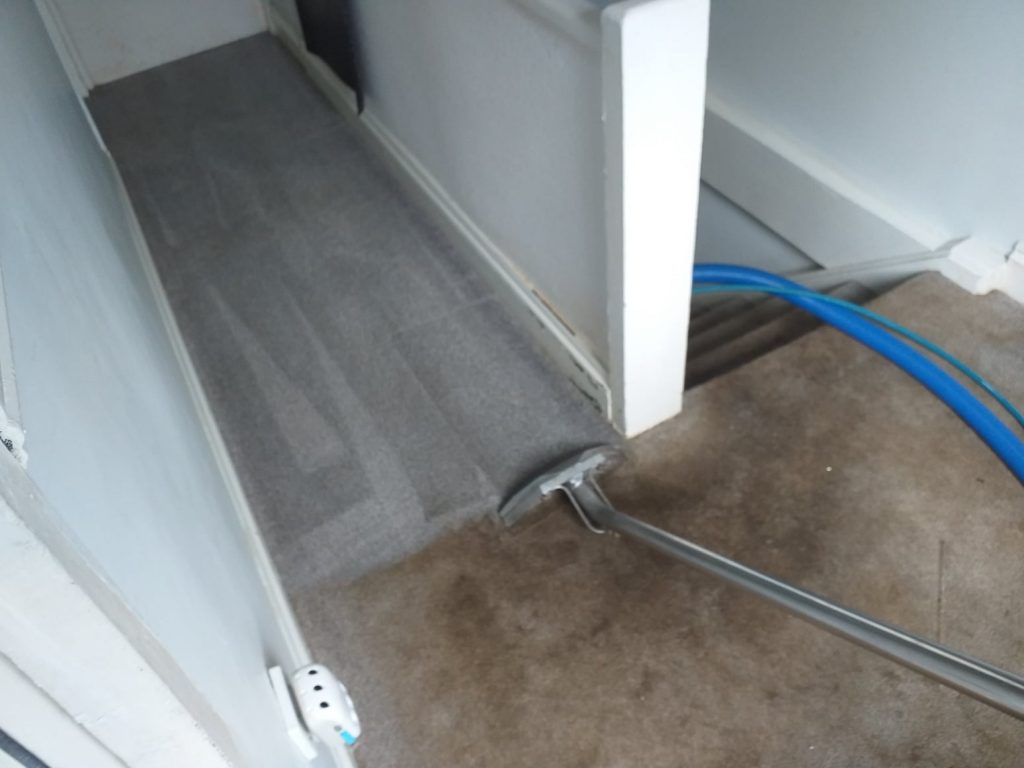 Xtra Clean Carpet Cleaning in Newcastle, Gateshead and the NorthEast